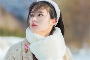 上海新茶工作室联系方式：上海的红树林与野生动物探秘